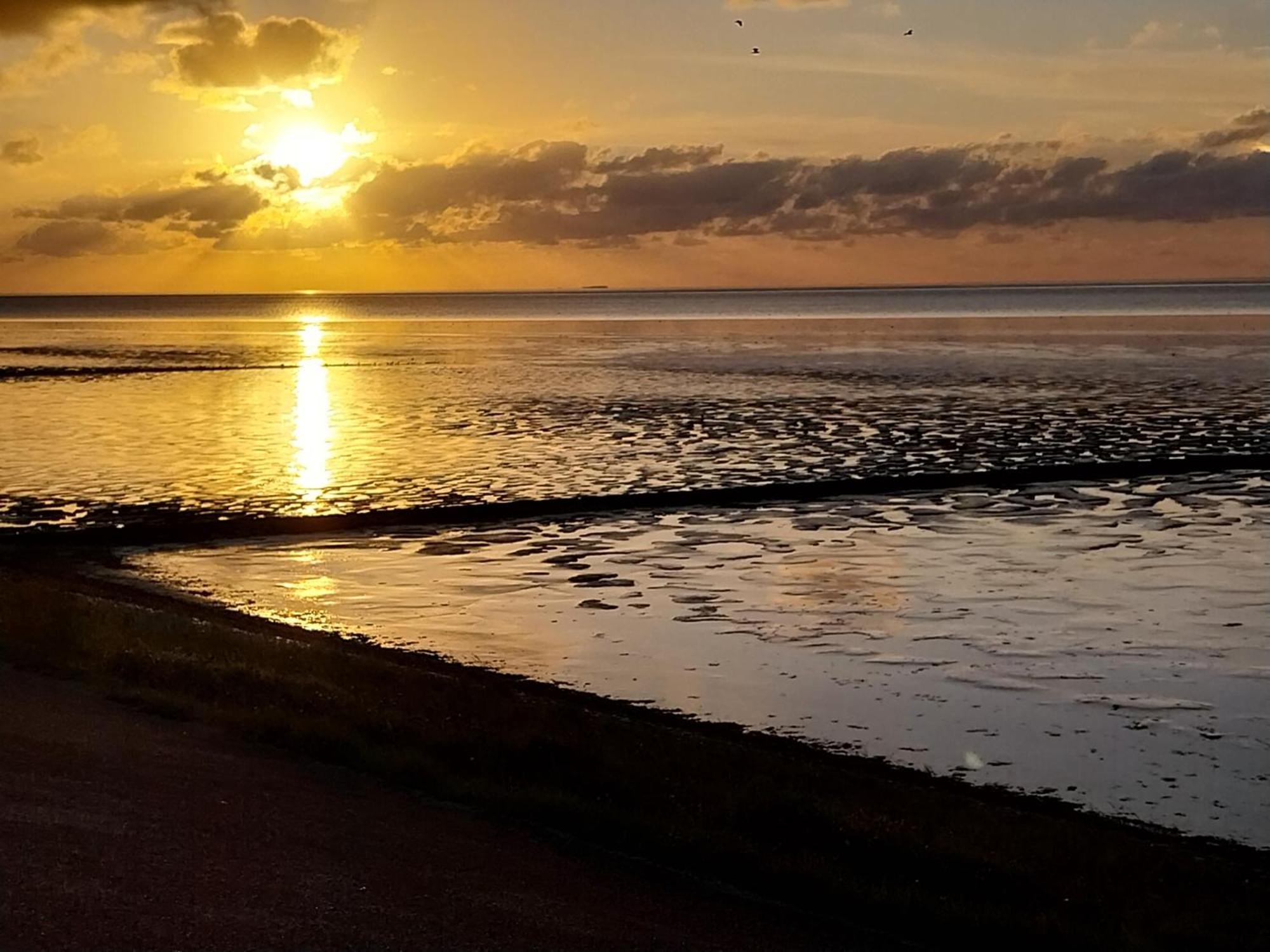 Wad Fijn Villa Sexbierum Exteriör bild