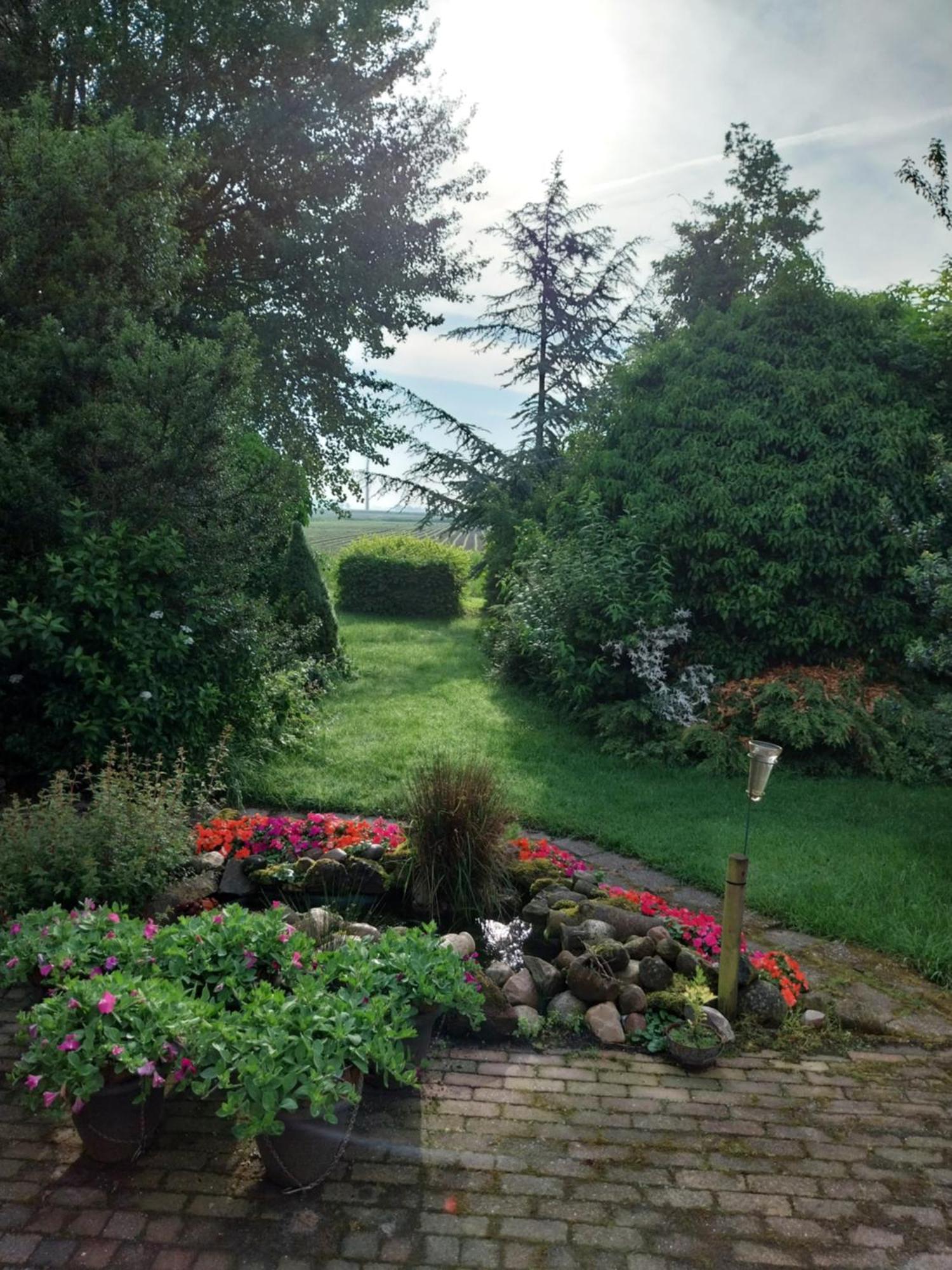 Wad Fijn Villa Sexbierum Exteriör bild