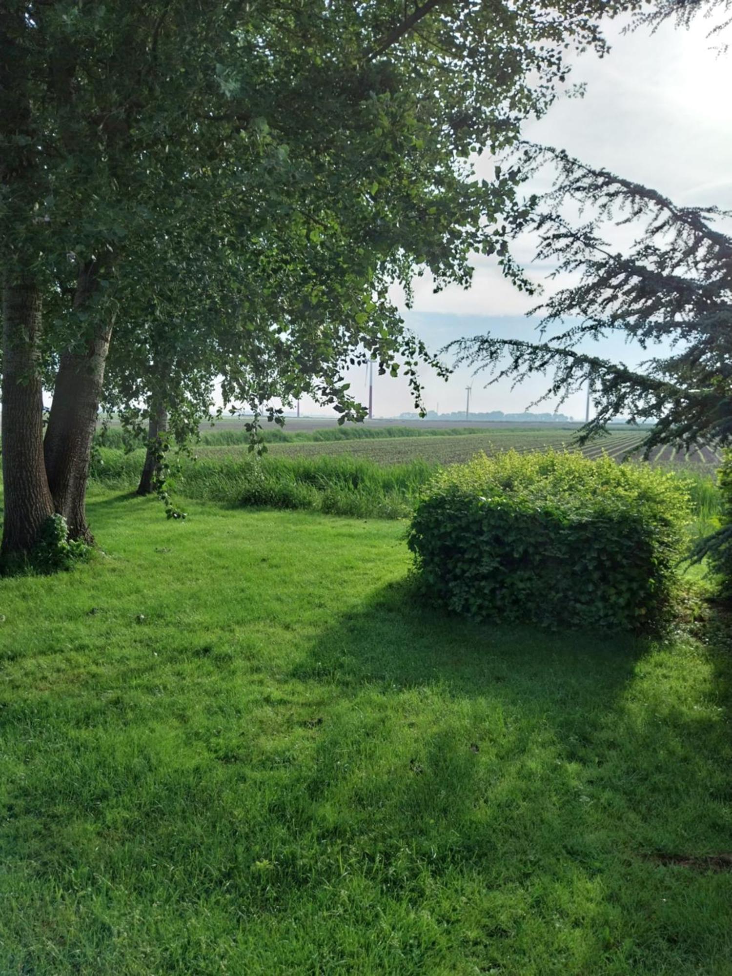 Wad Fijn Villa Sexbierum Exteriör bild