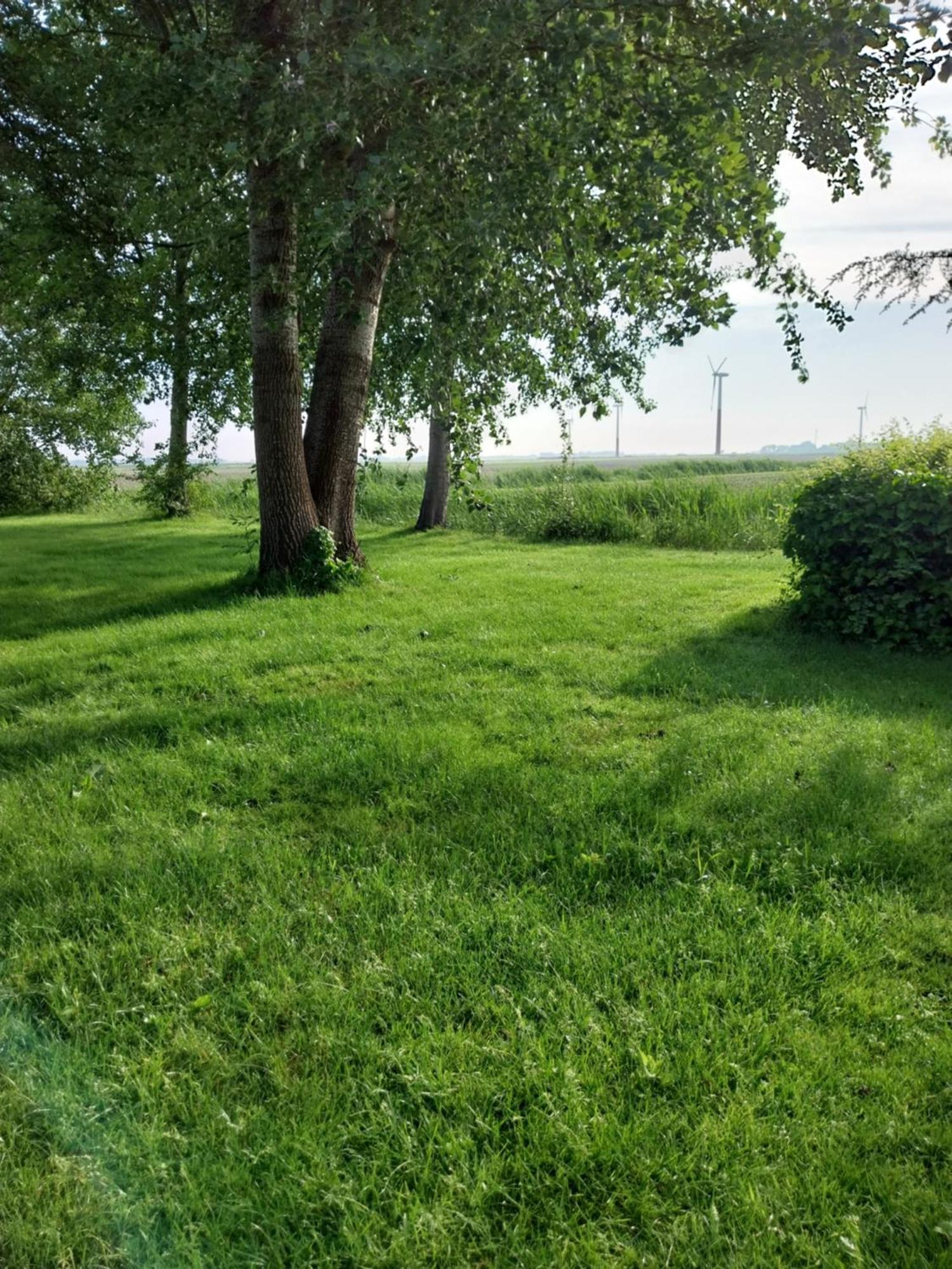 Wad Fijn Villa Sexbierum Exteriör bild