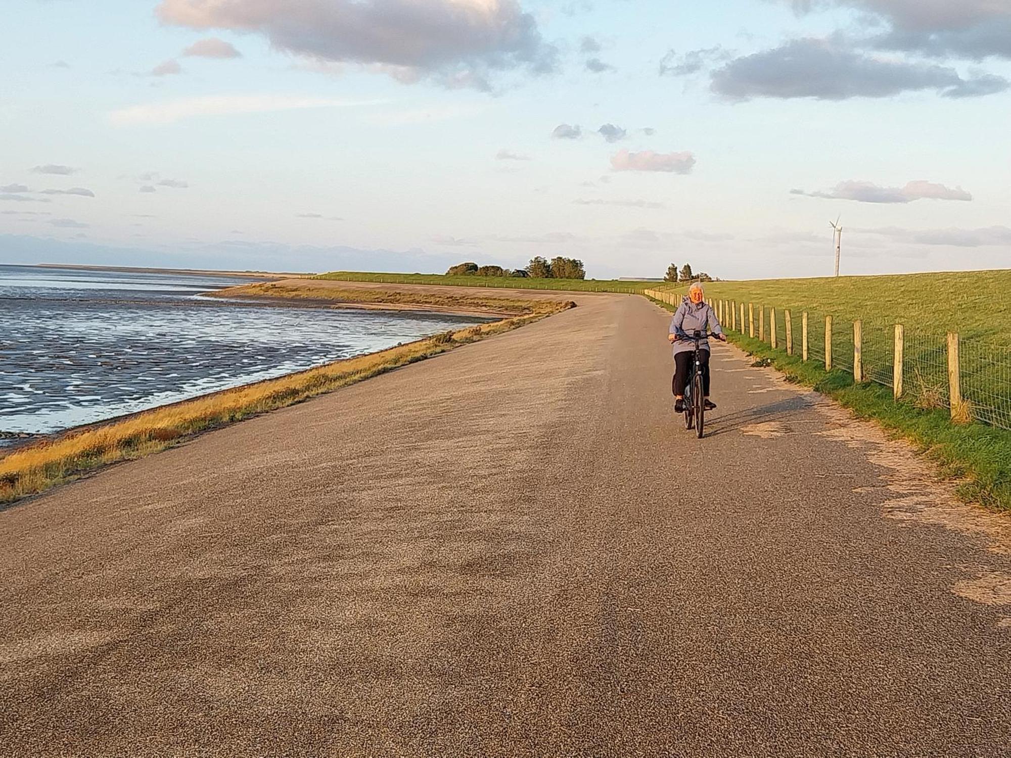 Wad Fijn Villa Sexbierum Exteriör bild